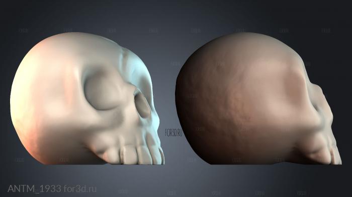 ANTM_1933 3d stl модель для ЧПУ