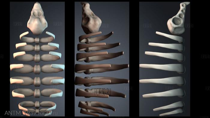 ANTM_1939 3d stl модель для ЧПУ