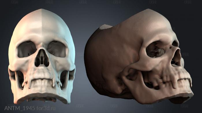 ANTM_1945 3d stl модель для ЧПУ