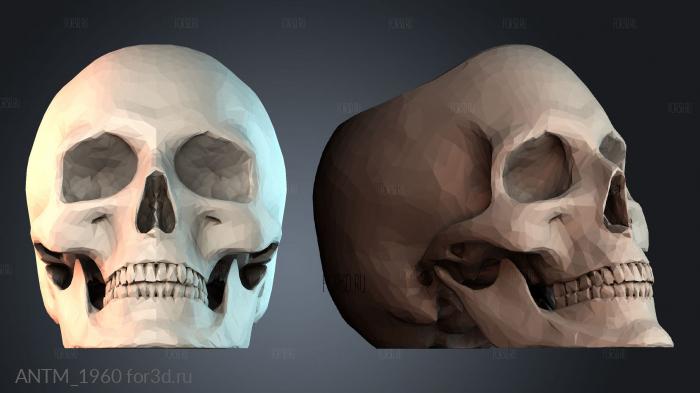 ANTM_1960 3d stl модель для ЧПУ