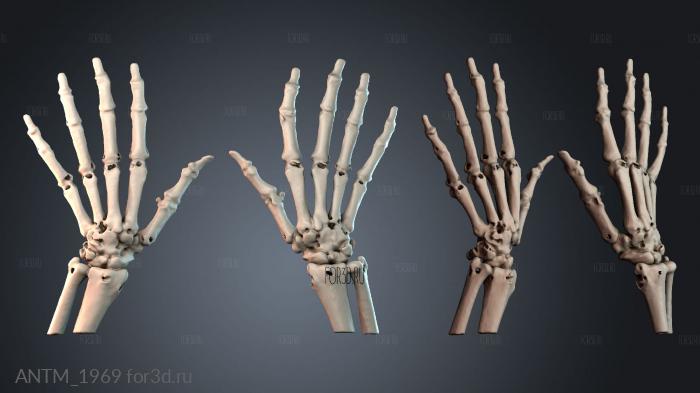 ANTM_1969 3d stl модель для ЧПУ