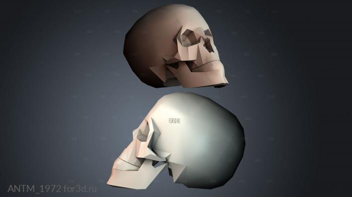 ANTM_1972 3d stl модель для ЧПУ