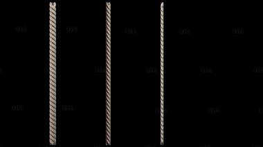 BG_1597