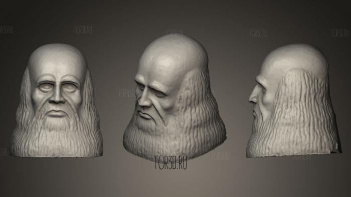 Leonardo da Vinci stone bust stl model for CNC