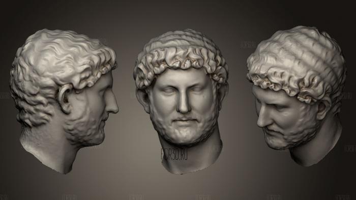 Head from a bust of Hadrian stl model for CNC