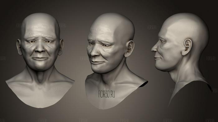 Head Study Decimated stl model for CNC