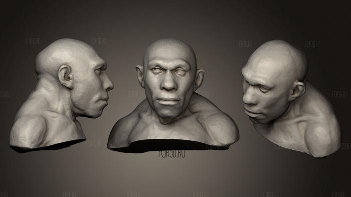 Homo neanderthalensis stl model for CNC