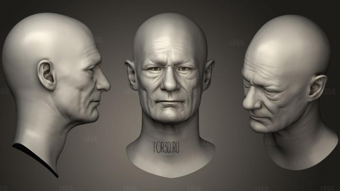 Male Head Sculpt 03 3d stl модель для ЧПУ
