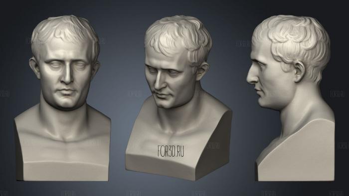 Bust of Napoleon stl model for CNC