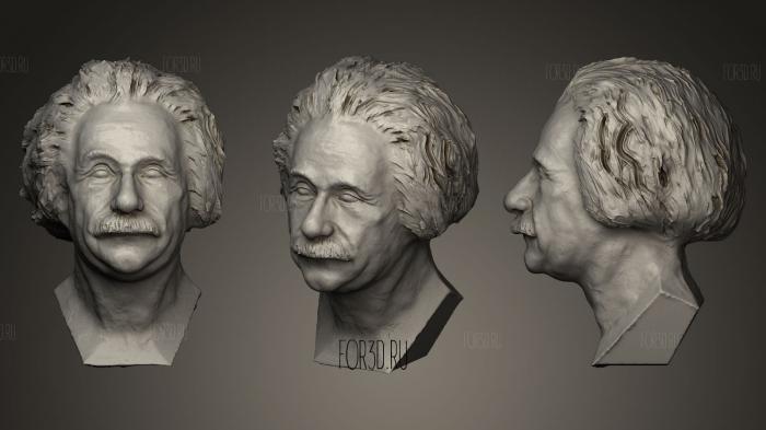 Альберт Эйнштейн посмертный слепок 3d stl модель для ЧПУ