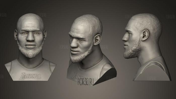Леброн Джеймс с бородой 3d stl модель для ЧПУ