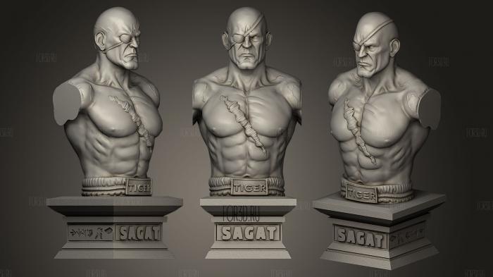 Street Fighter V Sagat stl model for CNC