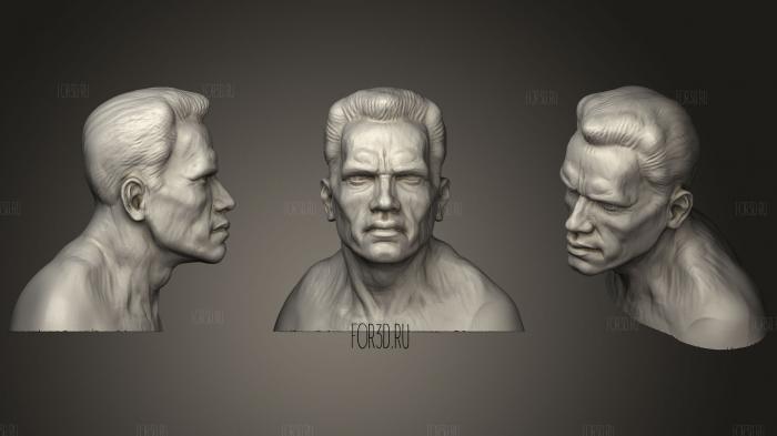 Arnold Schwarzenegger Bust (1)