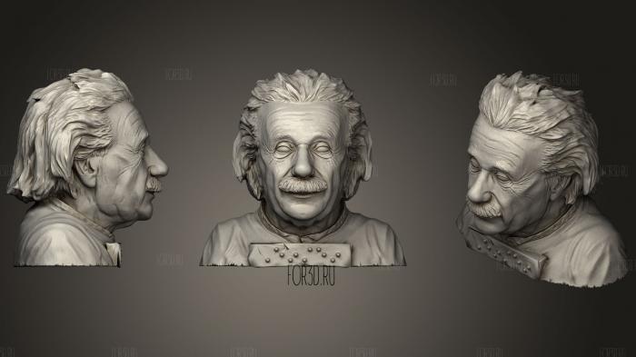 Einstein With Braille stl model for CNC