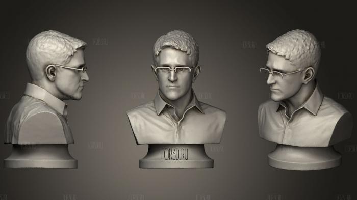 Statue Of Edward Snowden stl model for CNC