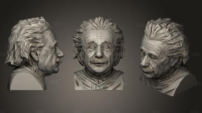 Albert Einstein Bust Lite Without Shoulders stl model for CNC