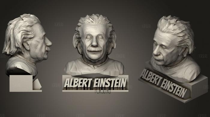 Albert Einstein Bust Statue stl model for CNC