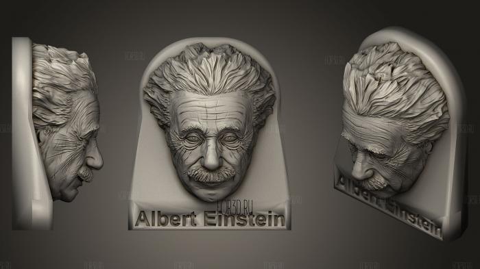 Albert Einstein Bust stl model for CNC