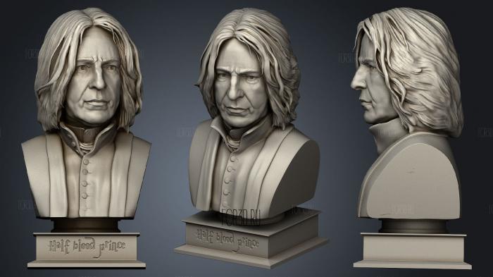 Severus Snape Bust 2 stl model for CNC