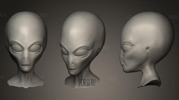 Creature Head Sculpt 6 stl model for CNC