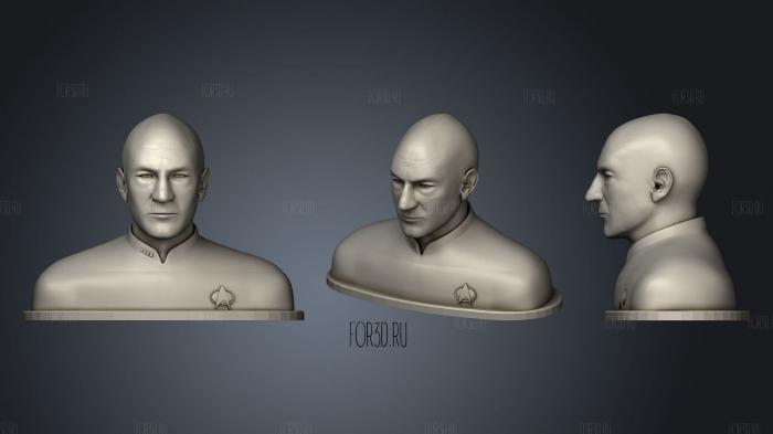 Captain Jean Luc Picard Bust Star Trek stl model for CNC