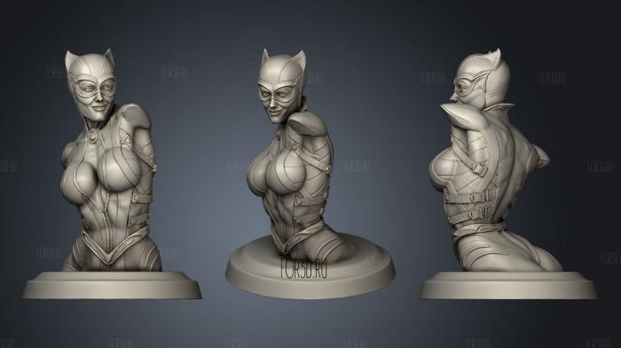 Catwoman Bust stl model for CNC