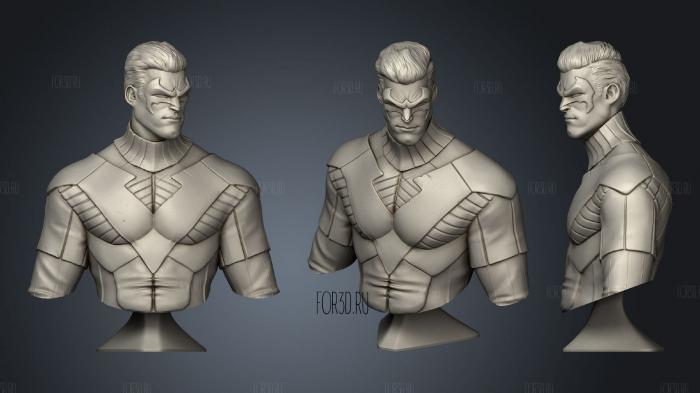 Nightwing Bust stl model for CNC