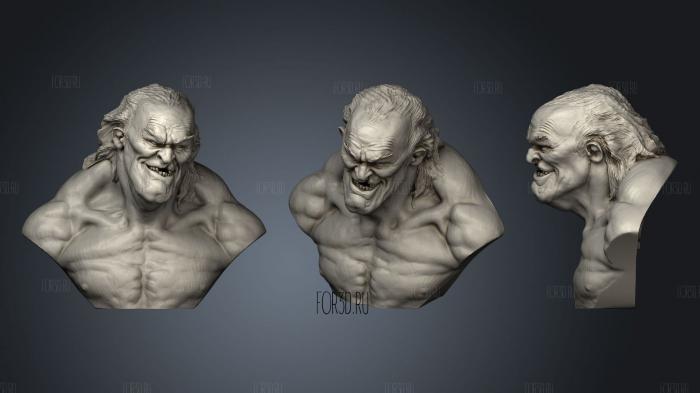 Scary Old Dude Bust ! stl model for CNC