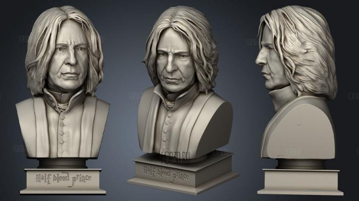 Severus Snape Bust stl model for CNC