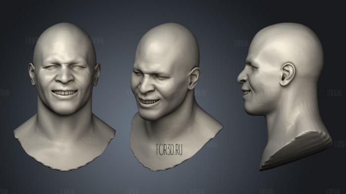 The head of a smiling man stl model for CNC