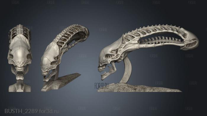 alien vs predator skull xenomorph stl model for CNC