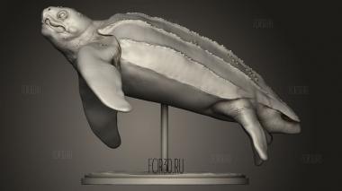 Животное Кожистая Морская Черепаха кожистое плавание 3d stl модель для ЧПУ