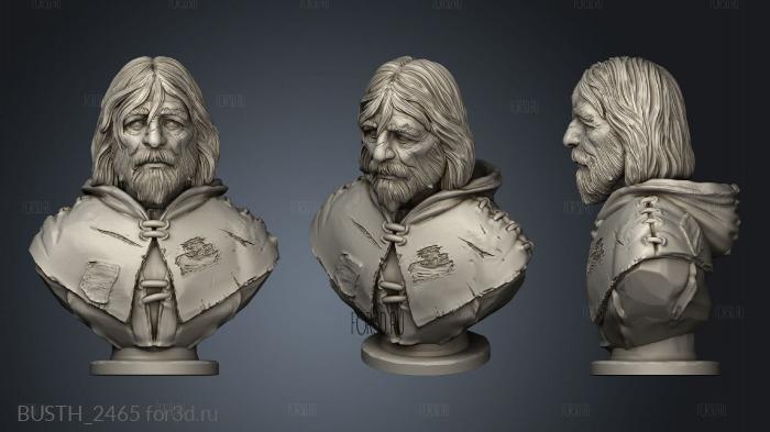 Bust Fer Aged stl model for CNC