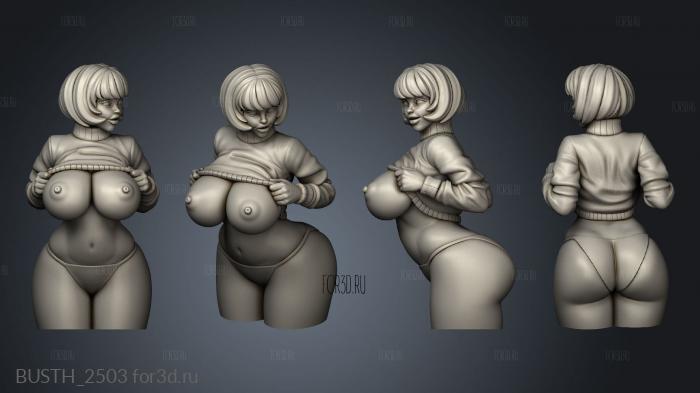 Bustholder Velma nsfw panties stl model for CNC