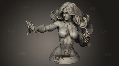 Ярость Вашингтона звездная 3d stl модель для ЧПУ