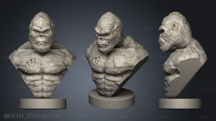 My King Kong Concept stl model for CNC