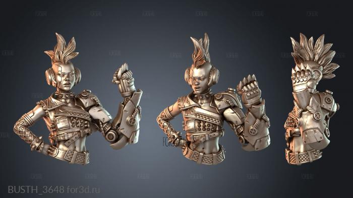 BUSTH_3648 3d stl модель для ЧПУ