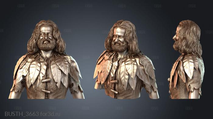 BUSTH_3663 3d stl модель для ЧПУ