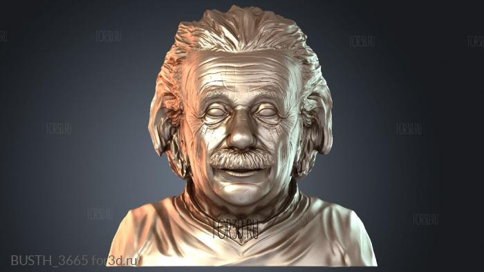 BUSTH_3665 3d stl модель для ЧПУ
