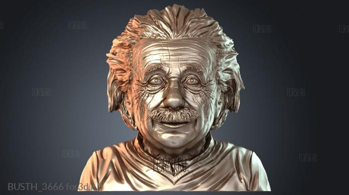 BUSTH_3666 3d stl модель для ЧПУ
