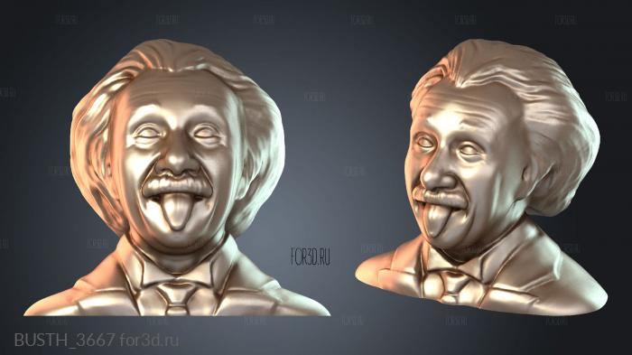 BUSTH_3667 3d stl модель для ЧПУ