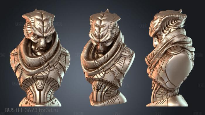 BUSTH_3673 3d stl модель для ЧПУ