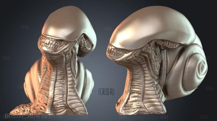 BUSTH_3676 3d stl модель для ЧПУ