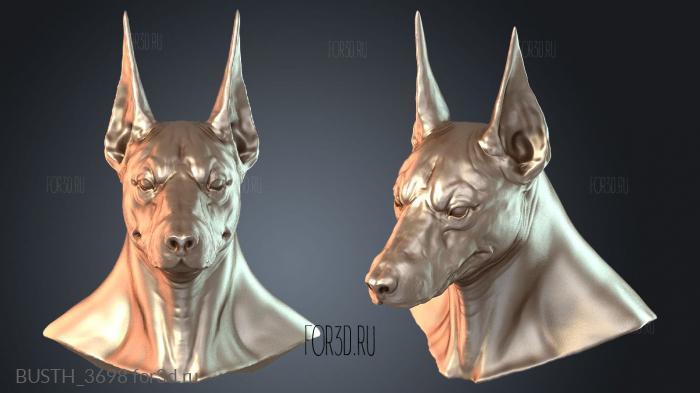 BUSTH_3698 3d stl модель для ЧПУ
