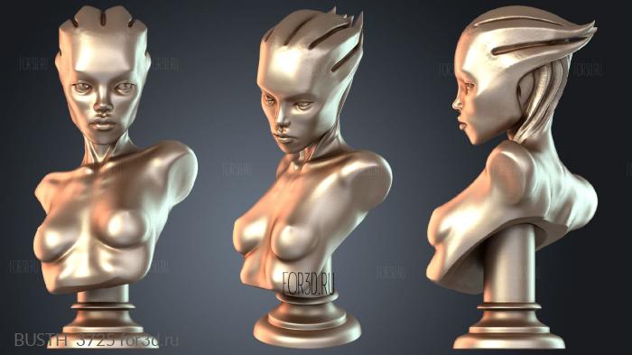 BUSTH_3725 3d stl модель для ЧПУ