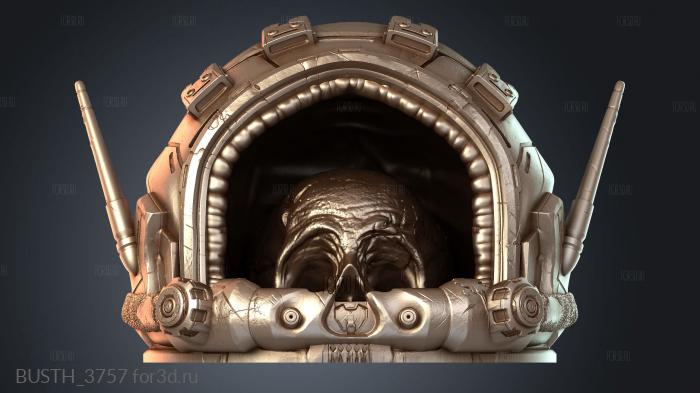 BUSTH_3757 3d stl модель для ЧПУ