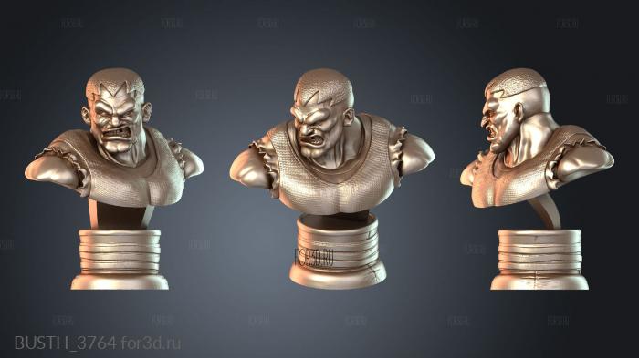 BUSTH_3764 3d stl модель для ЧПУ