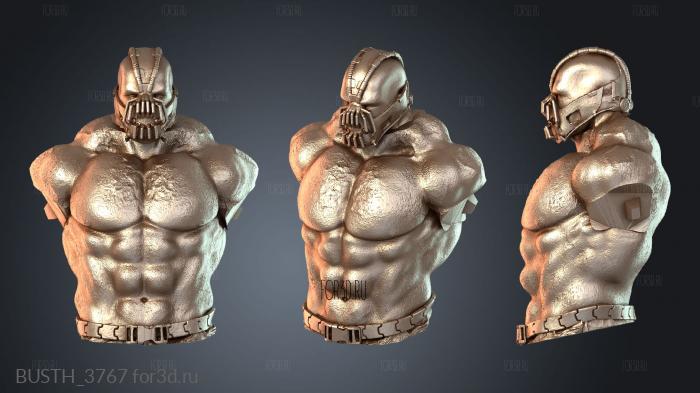 BUSTH_3767 3d stl модель для ЧПУ