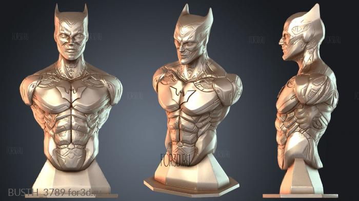 BUSTH_3789 3d stl модель для ЧПУ