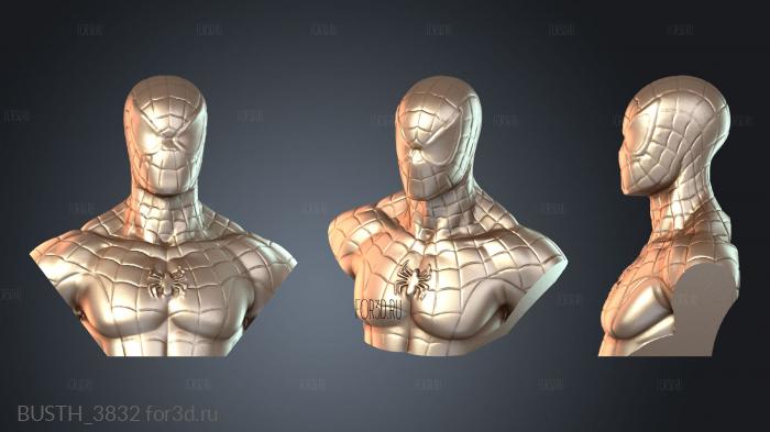 BUSTH_3832 3d stl модель для ЧПУ